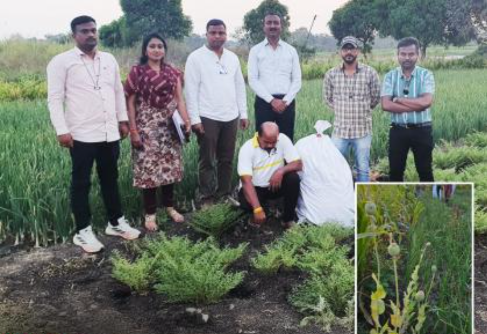 अफीम खेती कांड: 218 पौधों के साथ गिरफ्तारी!